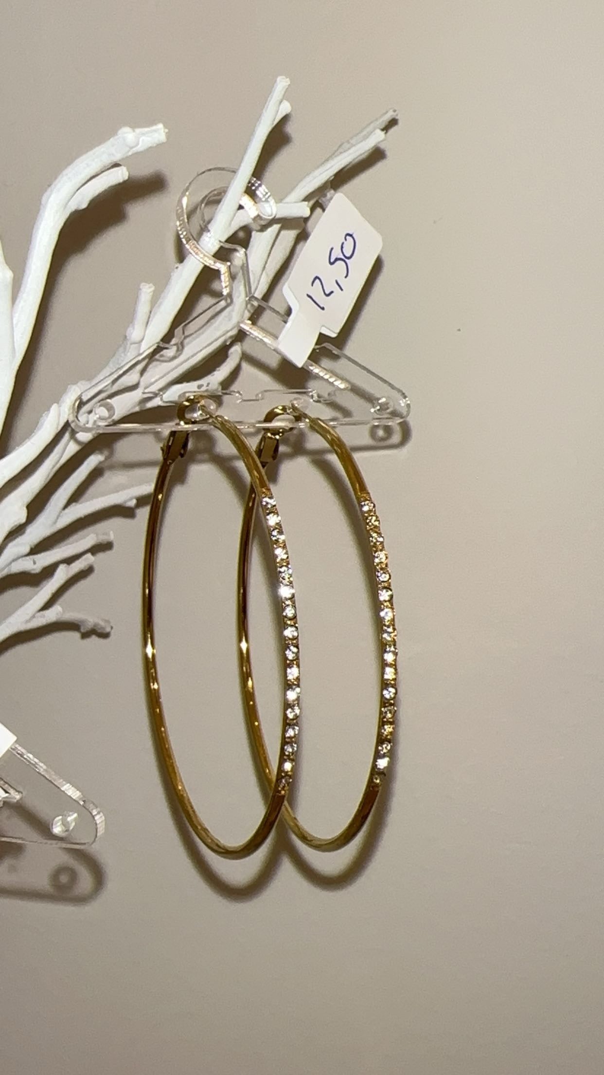 Shiny rings earings