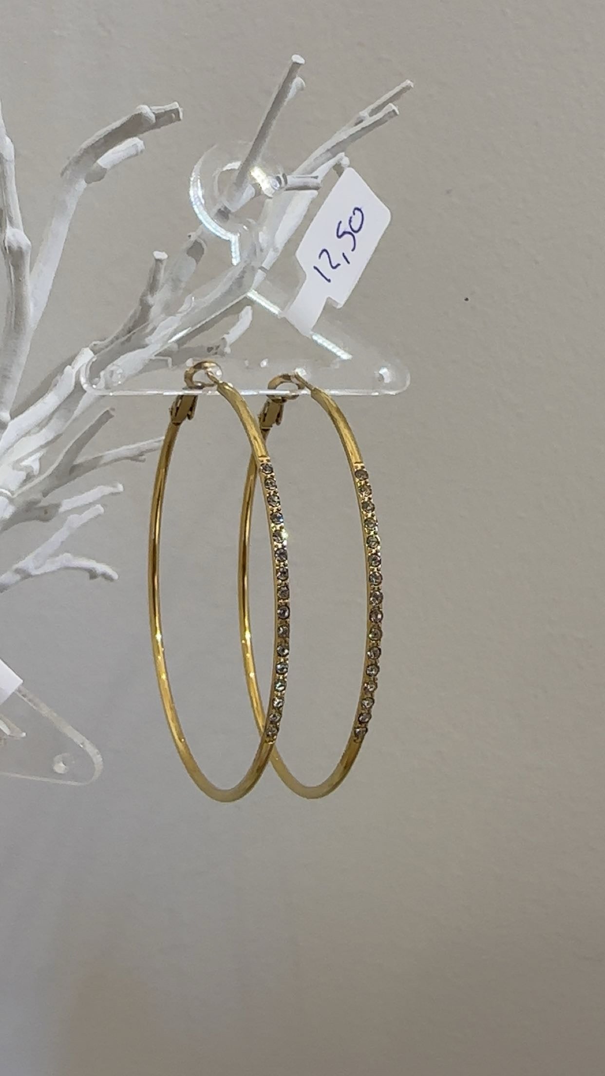 Shiny rings earings