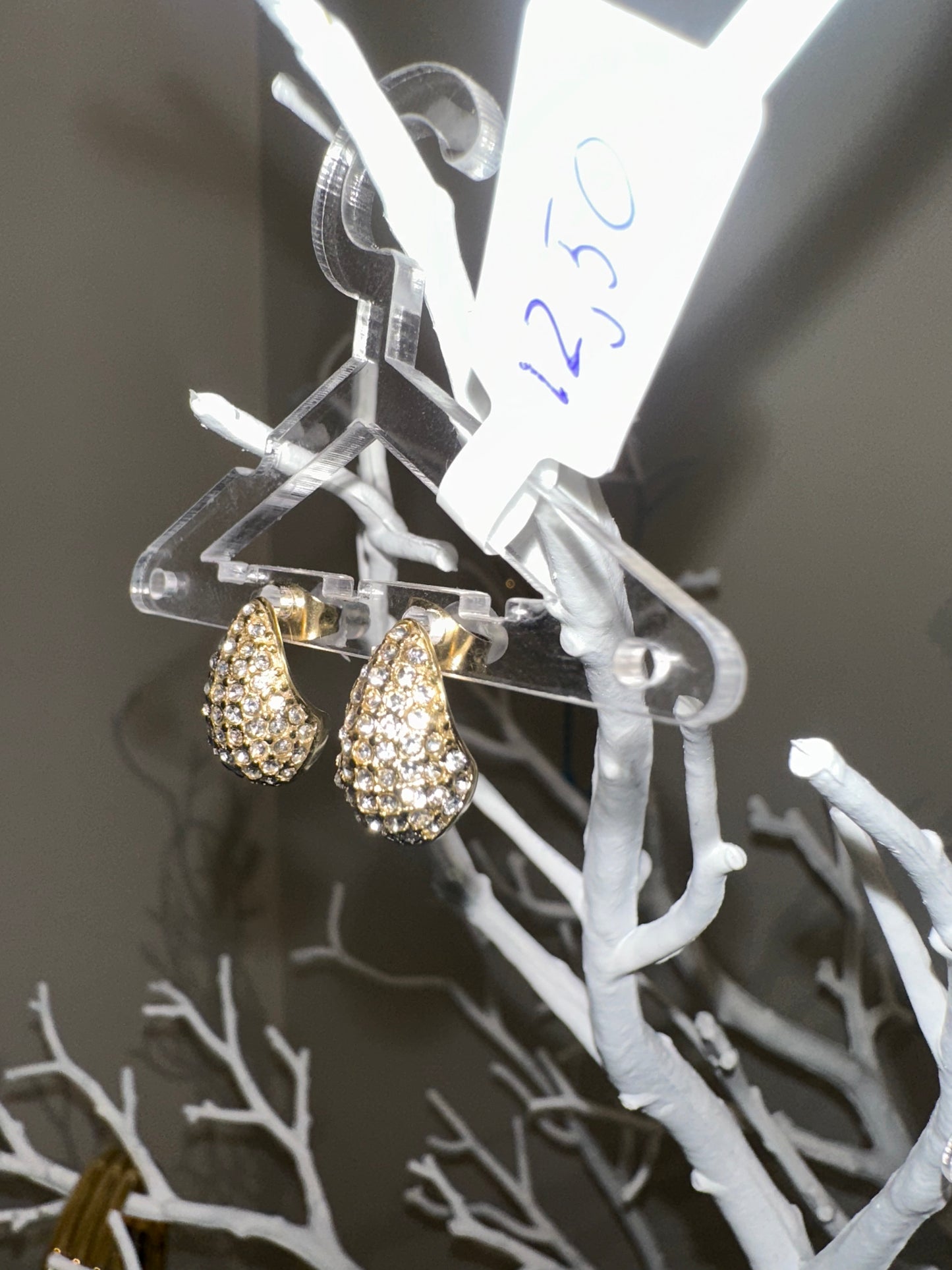 Shiny drops earing