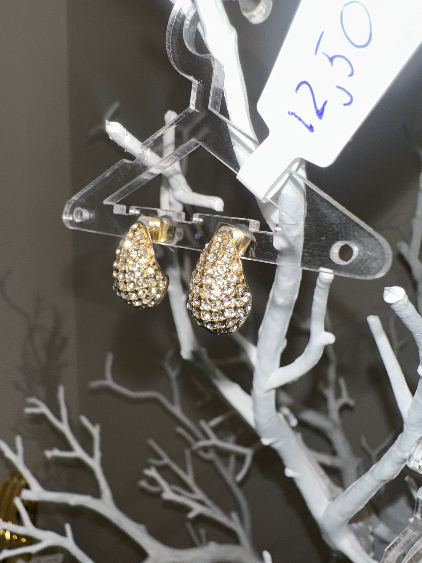Shiny drops earing