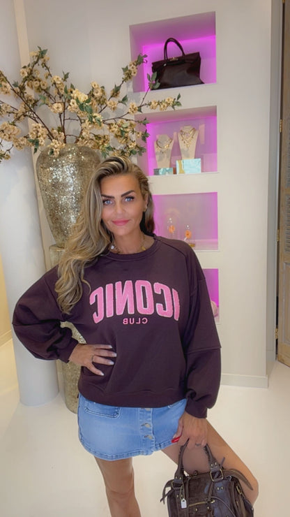 Iconic sweater bruin