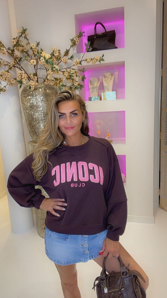 Iconic sweater bruin