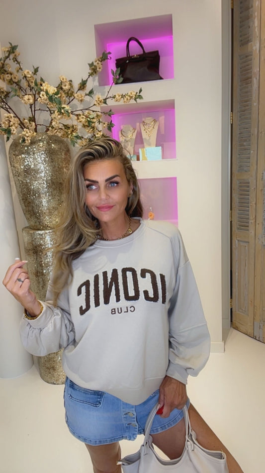 Iconic sweater beige