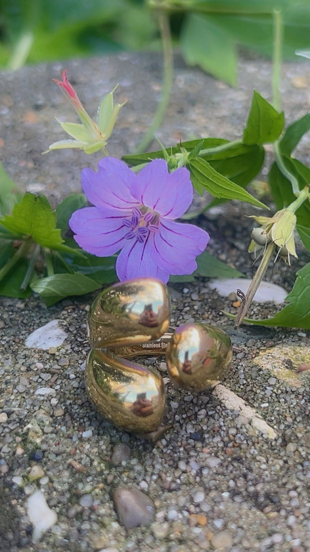 monica ring