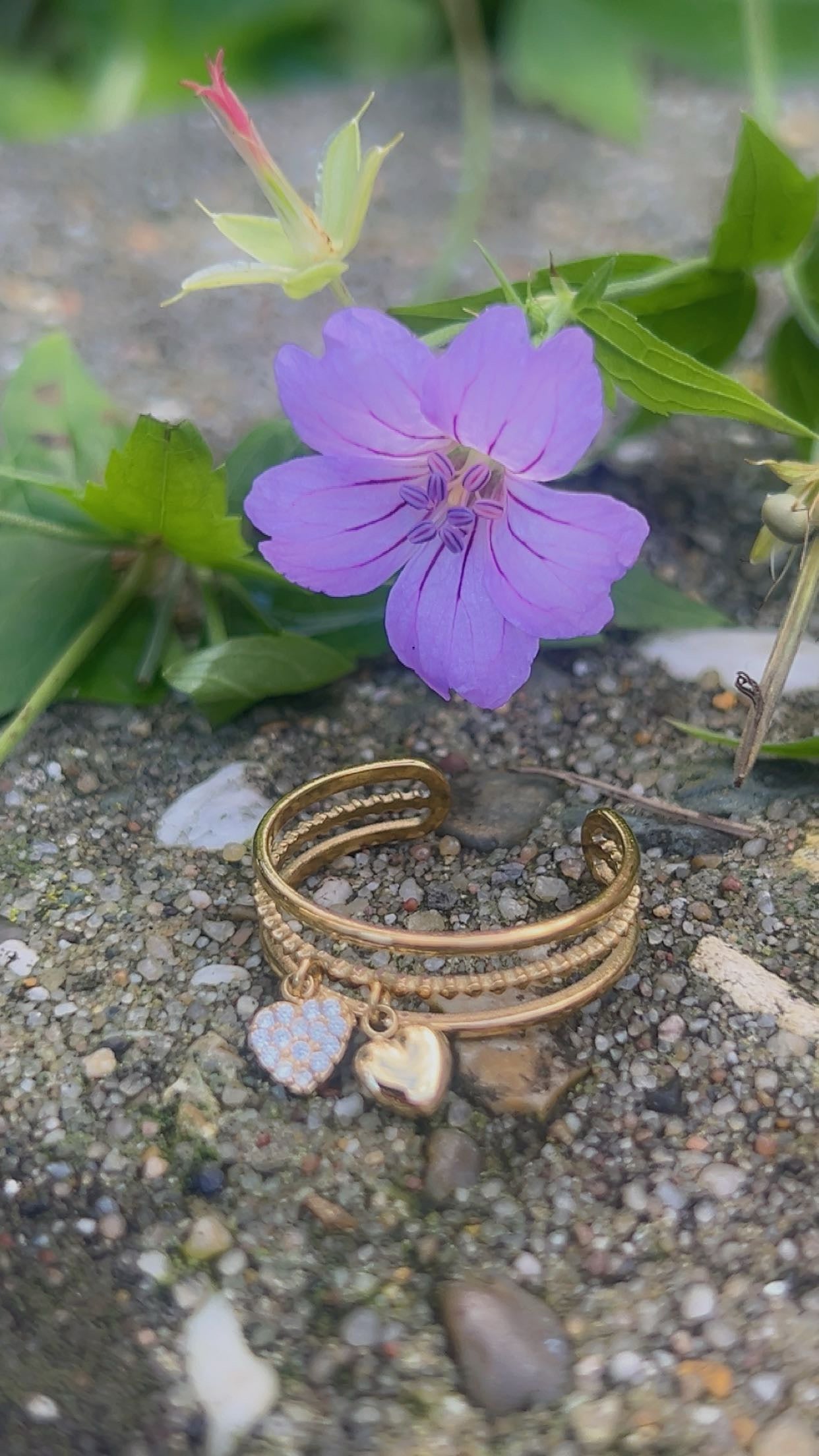 lovi hart ring bedel