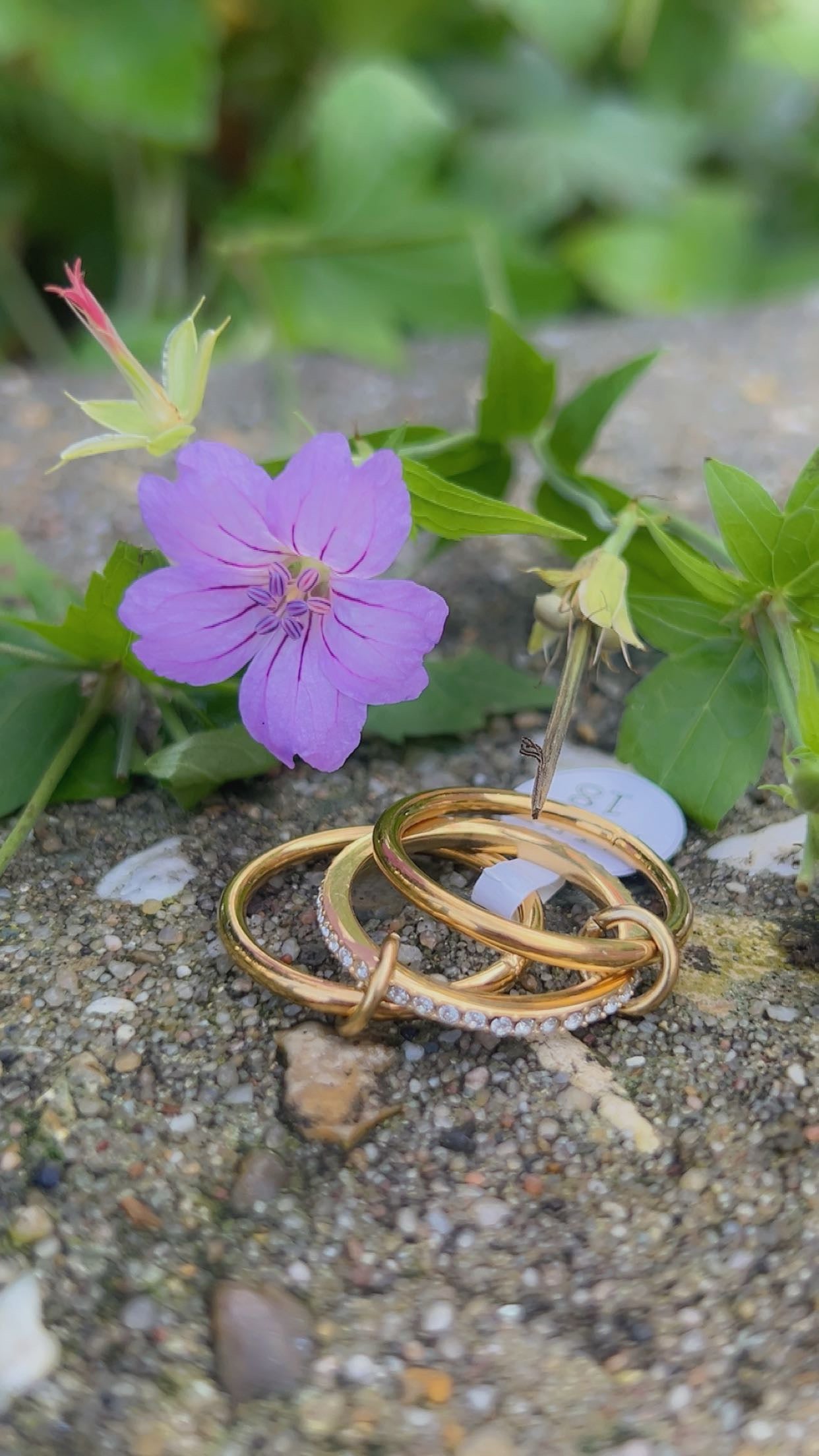 golden strass 3 in 1 ring