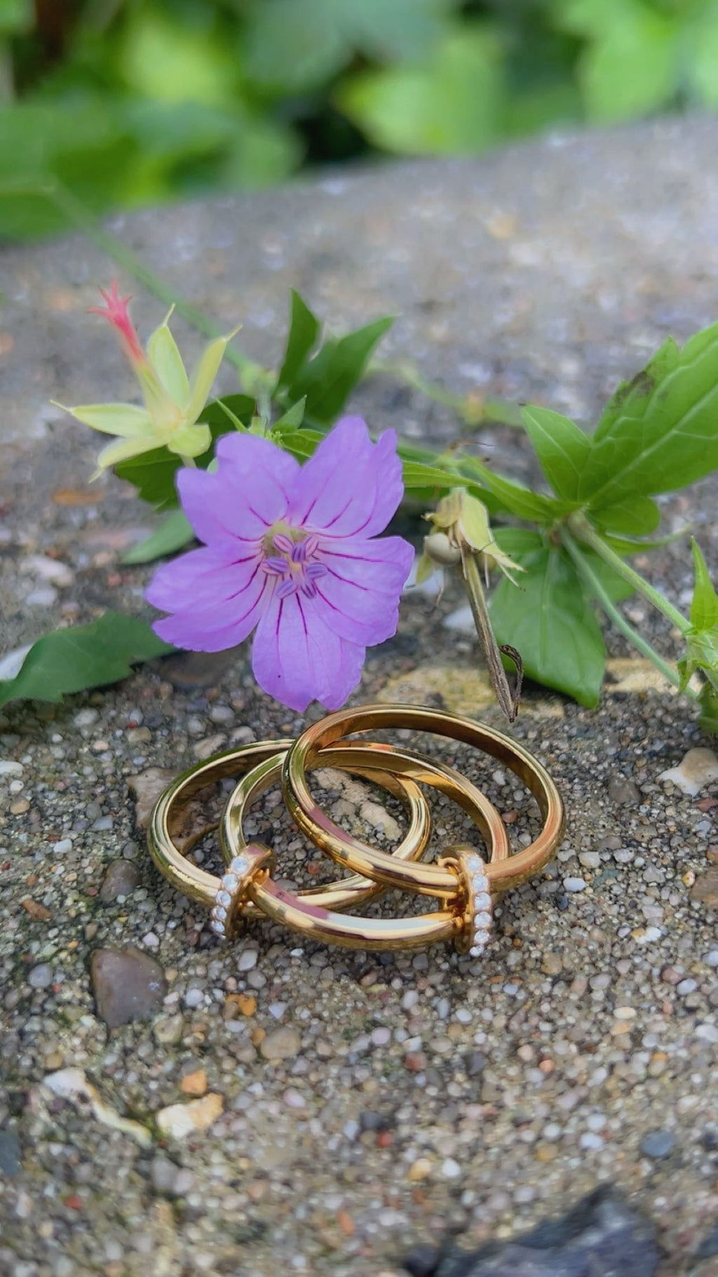 lina 3 in 1 ring