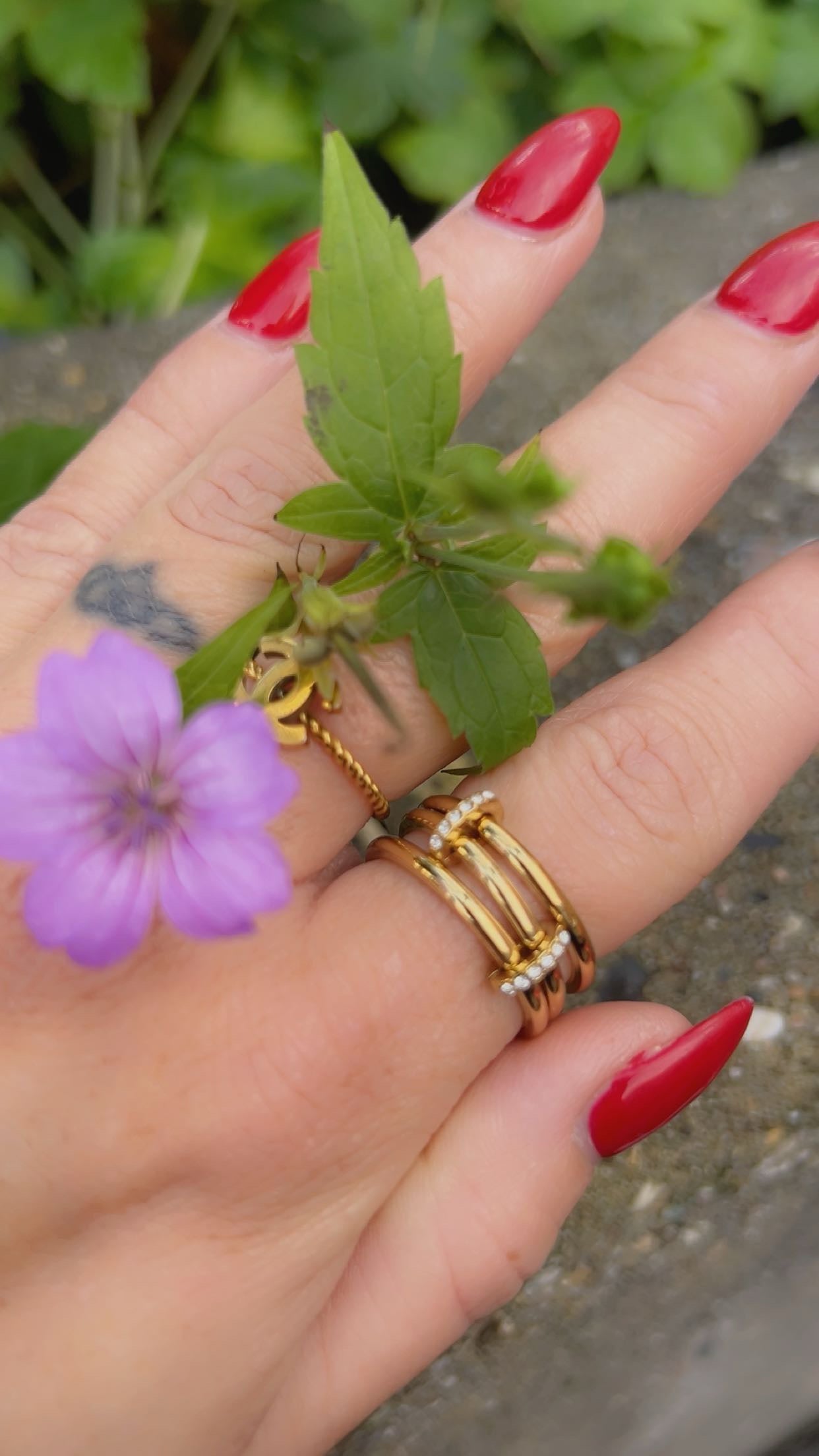lina 3 in 1 ring
