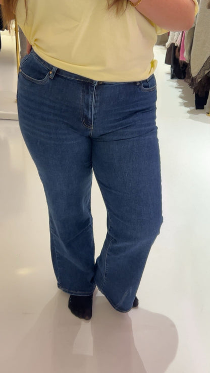 lilian jeans plus size