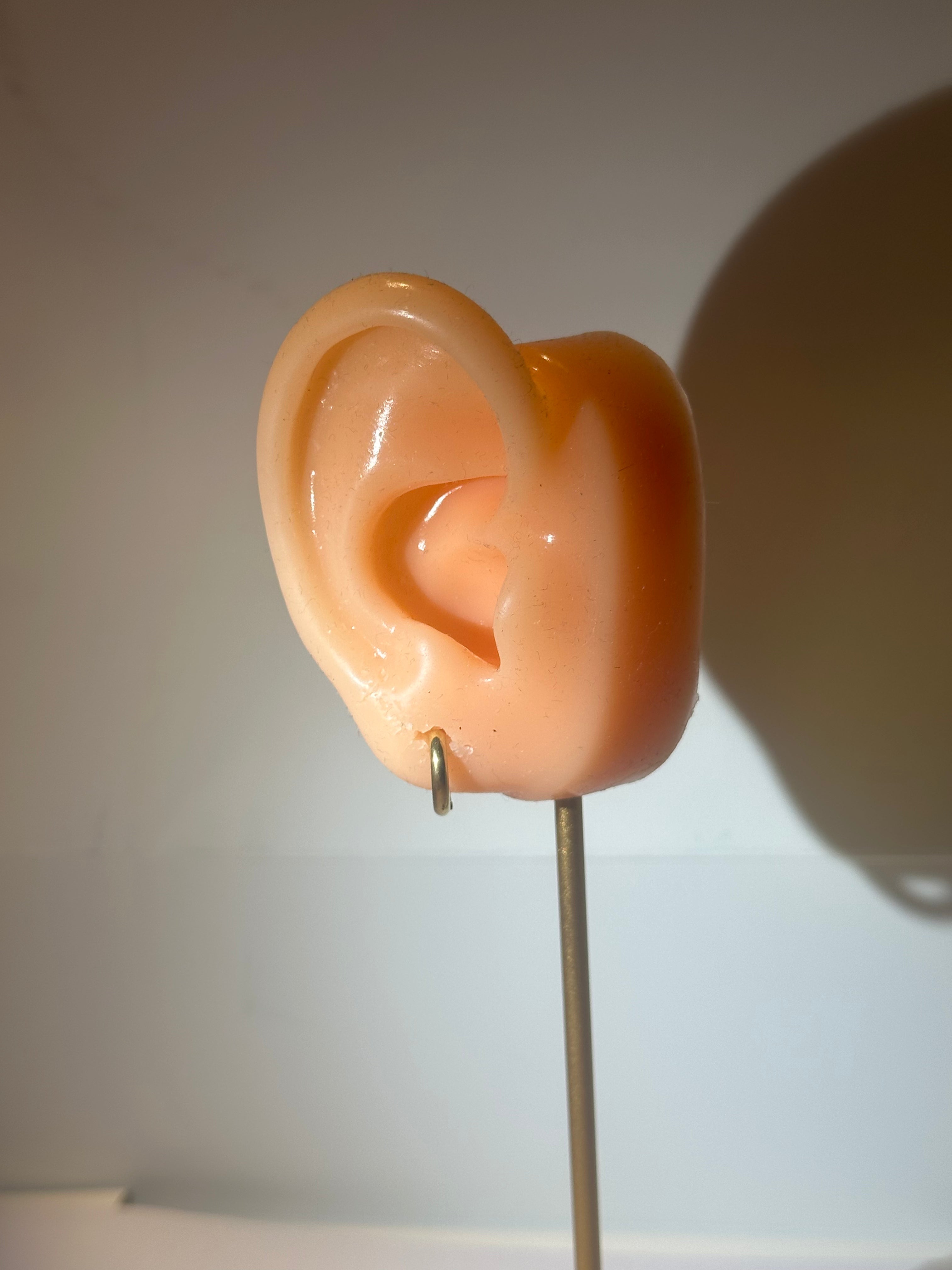 Classic Earring